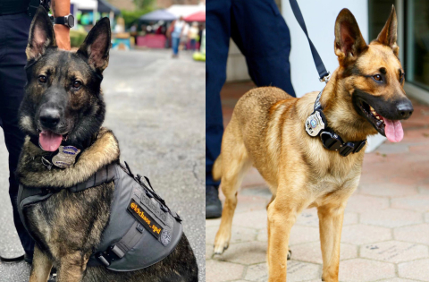 Two K9 officers wearing Smith and Warren Badges