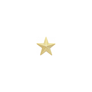 1 Star Collar Insignia | Smith & Warren®